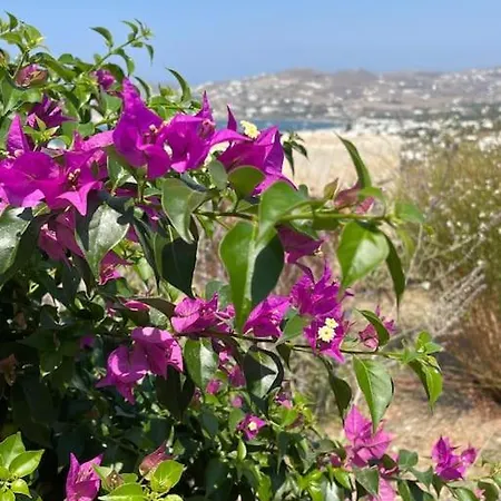Villa Dream 1 ολόκληρος χώρος με πισίνα *