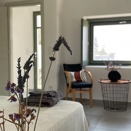 Dream 1 ολόκληρος χώρος με πισίνα Villa