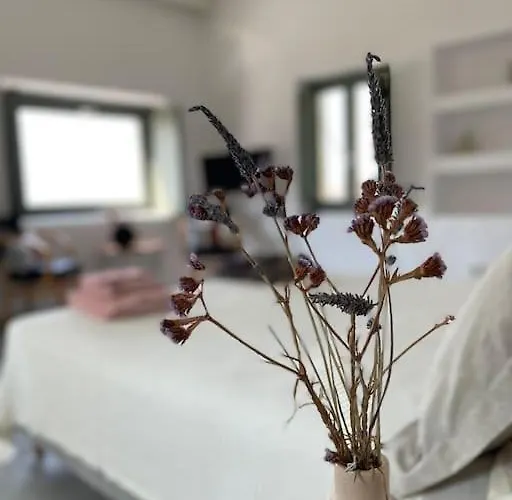 Dream 1 ολόκληρος χώρος με πισίνα Villa *