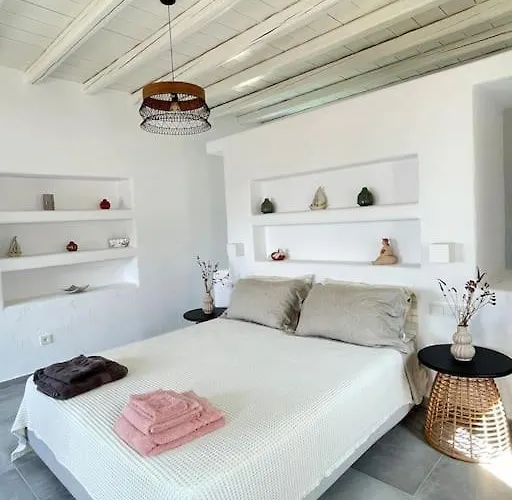 Dream 1 ολόκληρος χώρος με πισίνα Páros